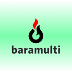 partner-baramulti