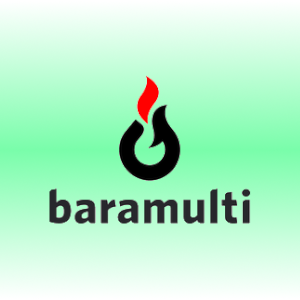 partner-baramulti